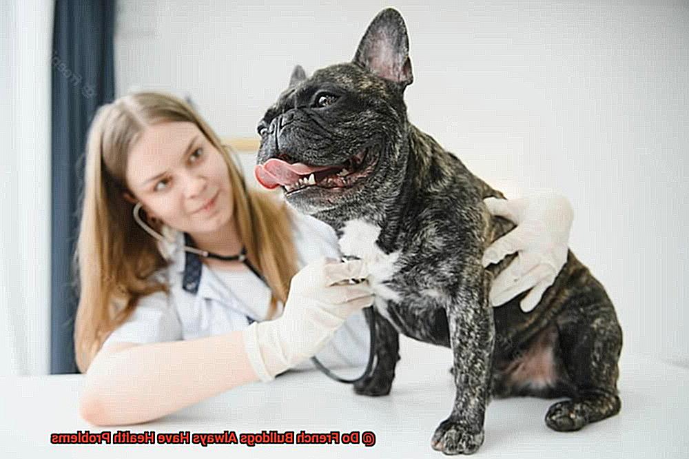 Do French Bulldogs Always Have Health Problems-3