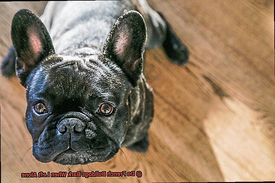 Do French Bulldogs Bark When Left Alone-3