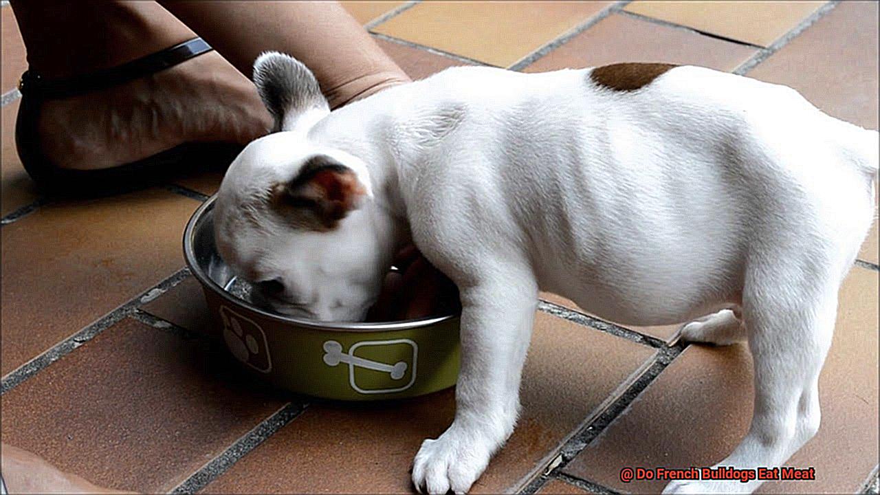 Do French Bulldogs Eat Meat-4