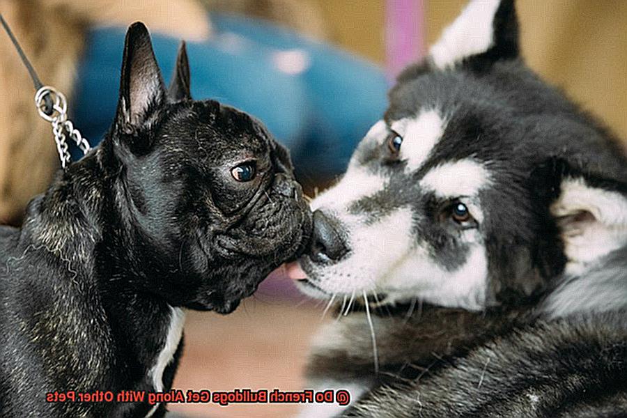 Do French Bulldogs Get Along With Other Pets-5