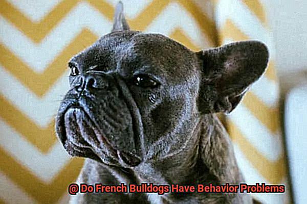 Do French Bulldogs Have Behavior Problems-6