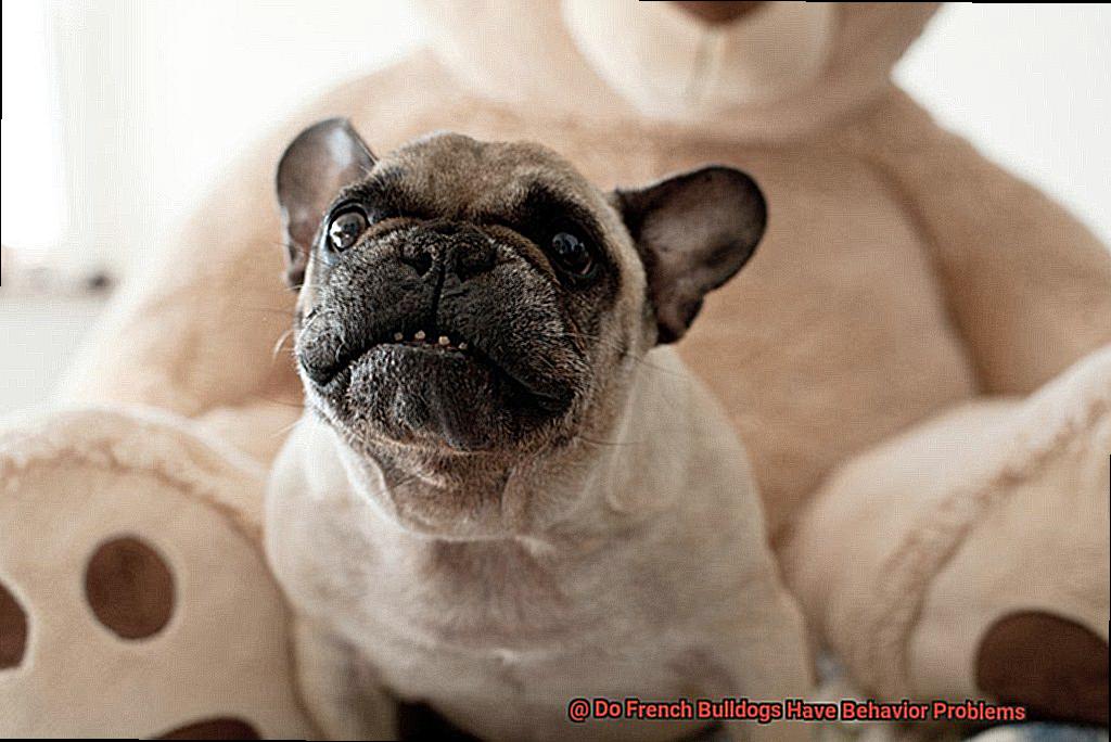 Do French Bulldogs Have Behavior Problems-4