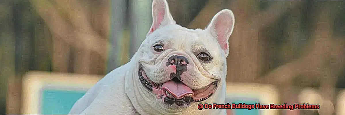 Do French Bulldogs Have Breeding Problems-3