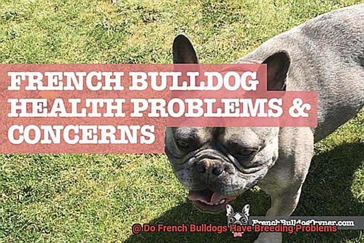 Do French Bulldogs Have Breeding Problems-2