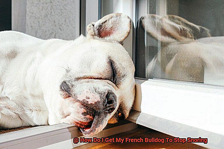 How Do I Get My French Bulldog To Stop Snoring-4