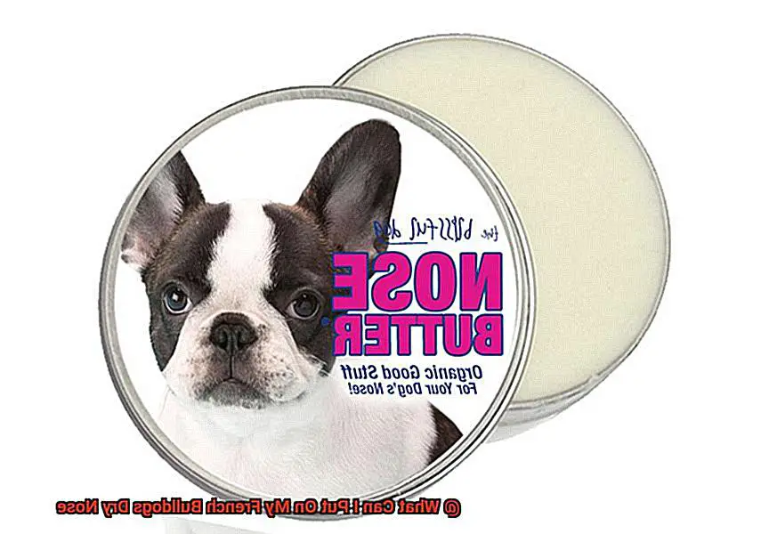 What Can I Put On My French Bulldogs Dry Nose-2