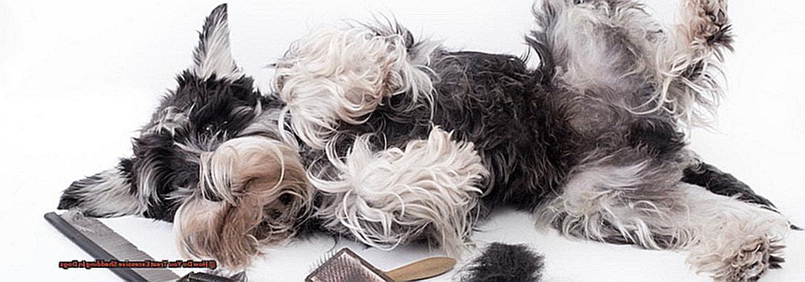 How Do You Treat Excessive Shedding In Dogs-2