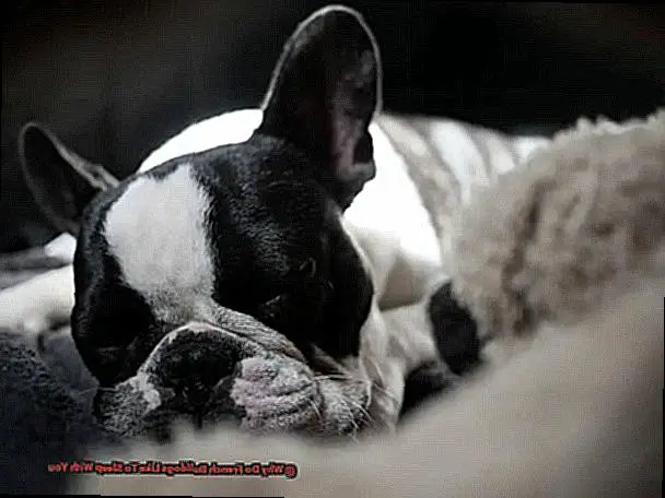 Why Do French Bulldogs Like To Sleep With You-2